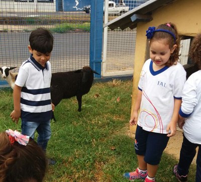 Pré 1 A Manhã - Diversão no IALZINHO