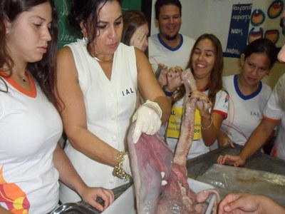 Alunos do IAL realizam aula prática de Biologia