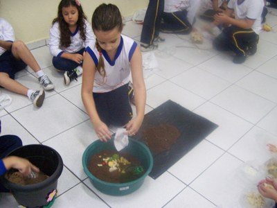 Experiência: Decomposição Alunos do 3º ano I