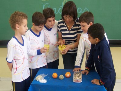 Fungos e bactérias.