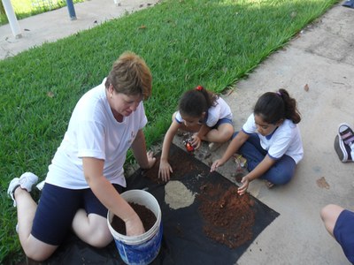 Germinação