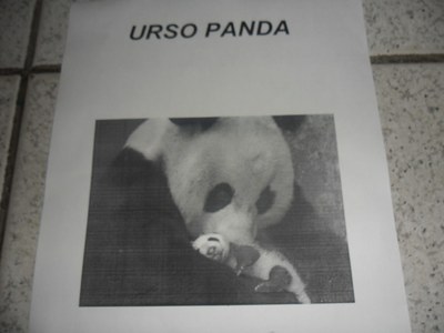 Urso Panda.